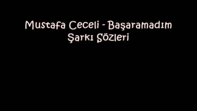 Mustafa Ceceli - Başaramadım Şarkı Sözleri